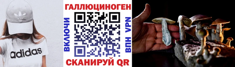 Галлюциногенные грибы мицелий  Няндома 